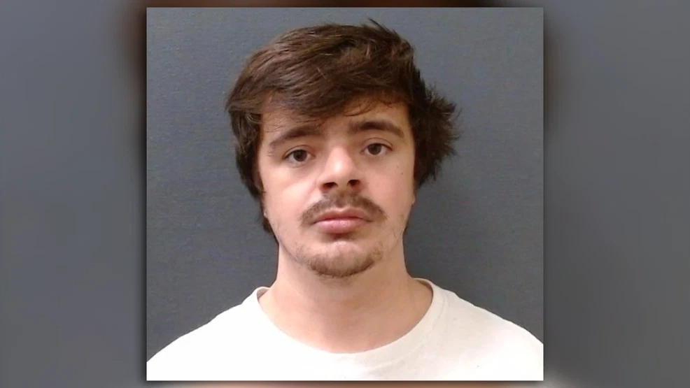 Crash kills female passenger and dog, driver arrested on DWI charges