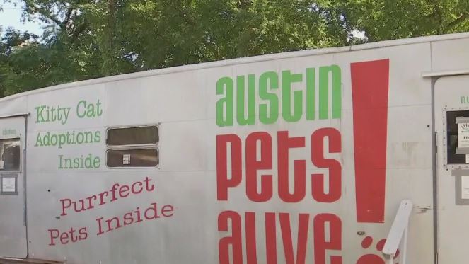 Local animal shelter rescues 17 pets from Texas flooding
